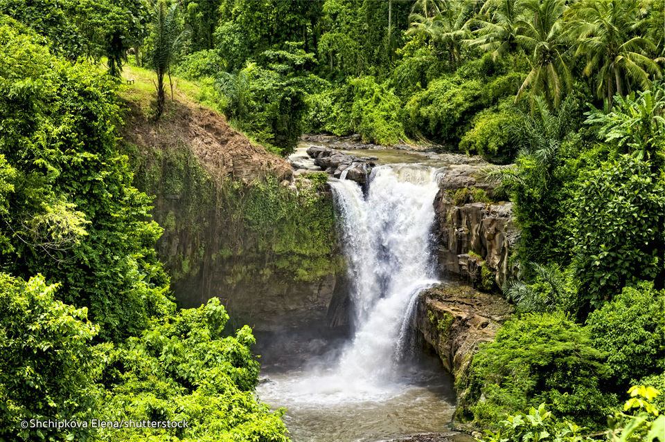 Photo of Explore the uplands of Bali in Ubud | GarimaShares by Garima Bhaskar