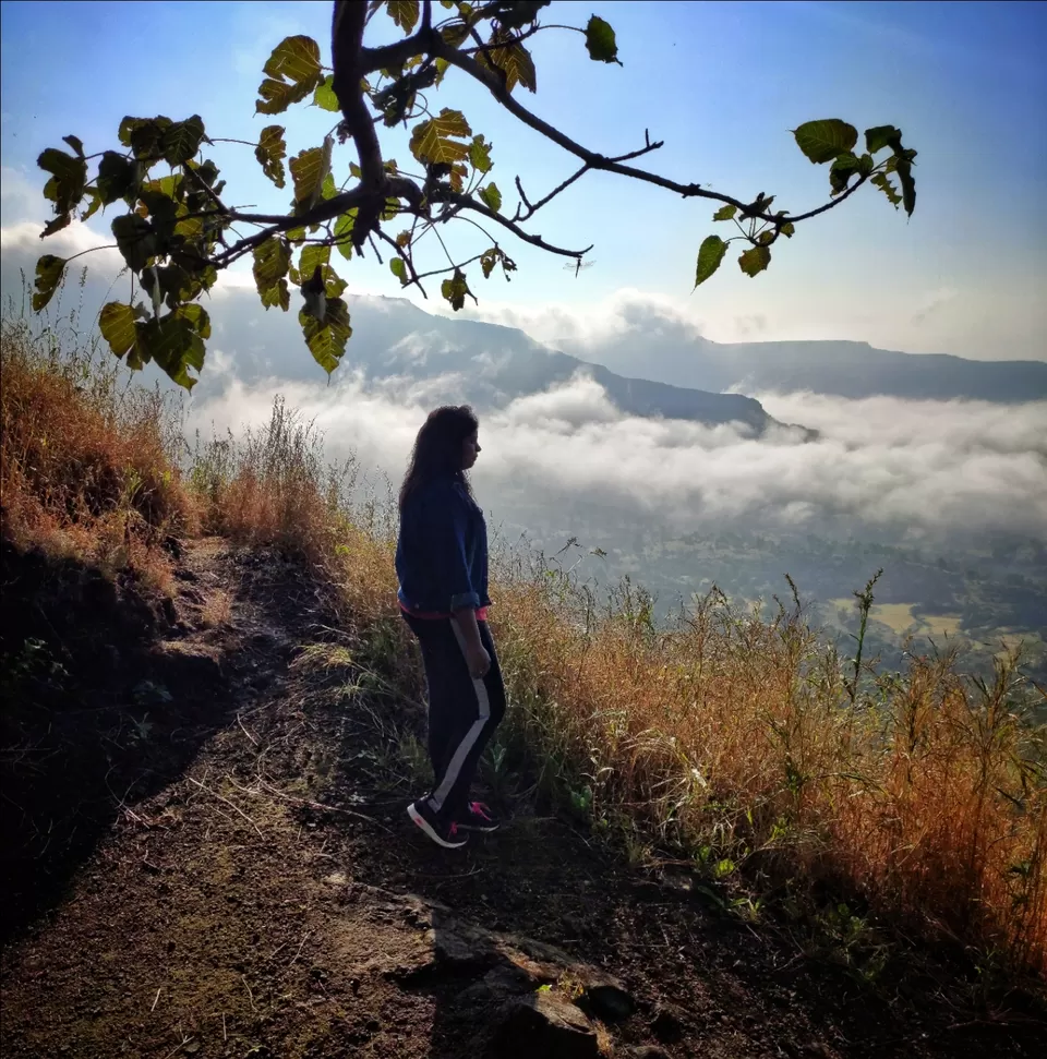 Photo of Tikona Fort (Vitandgad) By travelwithmeeta