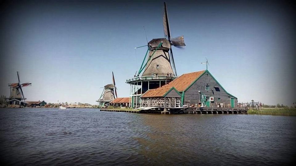 Photo of Explore the amazingly beautiful colors of Tulips & beautifully preserved windmills ! 1/5 by Khushboo Bansal