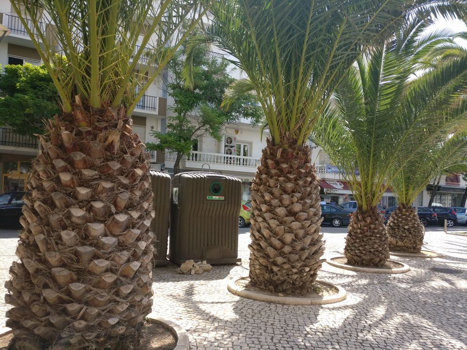 Photo of Lagos, Portugal by Khushboo Bansal
