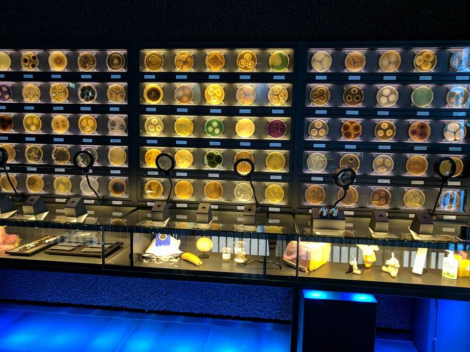 Photo of 8 Offbeat and Unique Museums in Netherlands You Must Visit 12/19 by Khushboo Bansal