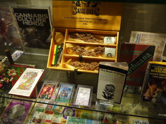 Photo of 8 Offbeat and Unique Museums in Netherlands You Must Visit 15/19 by Khushboo Bansal