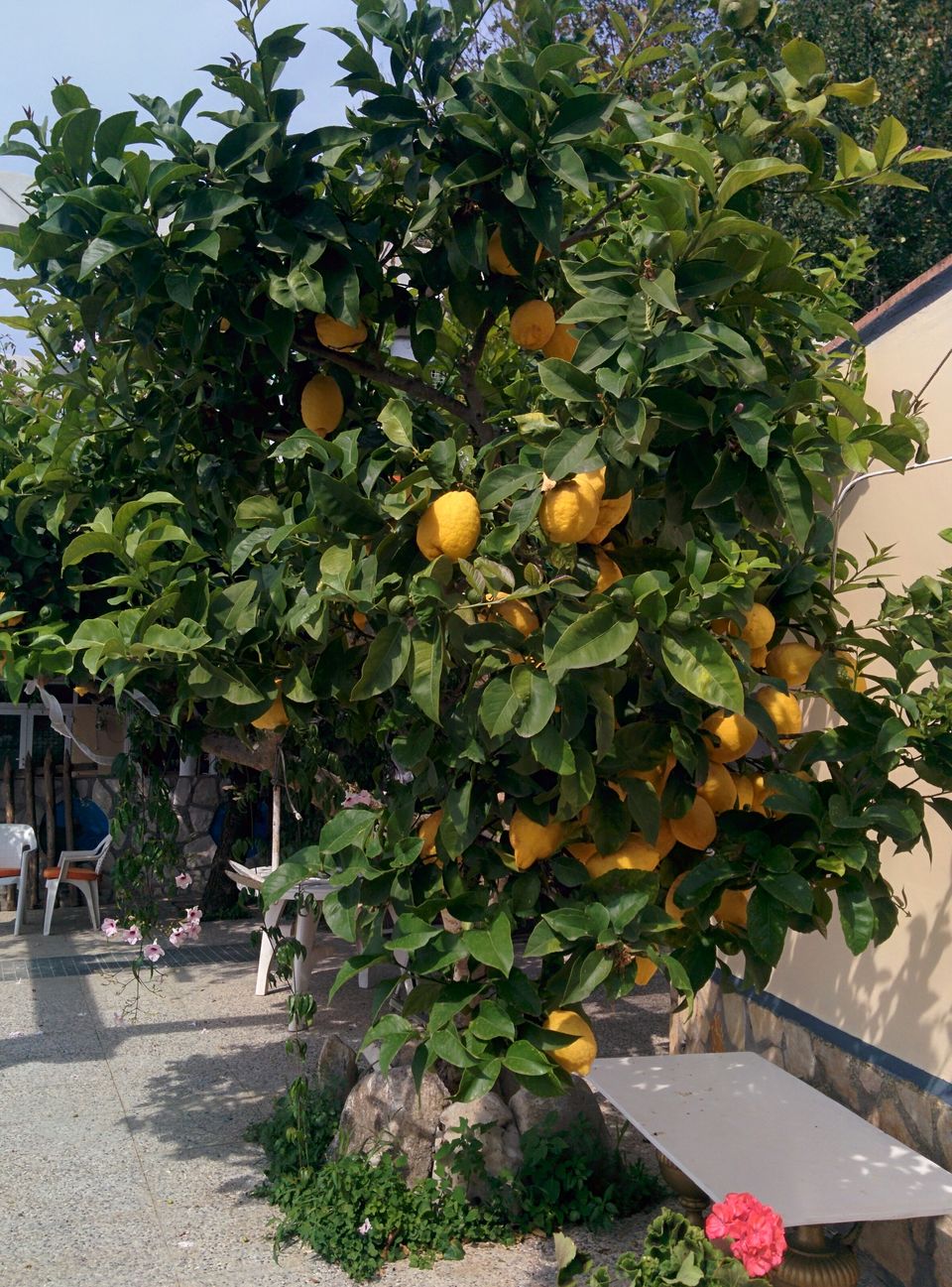 Photo of A Day in Capri,The Exotic Italian Island!! by Khushboo Bansal