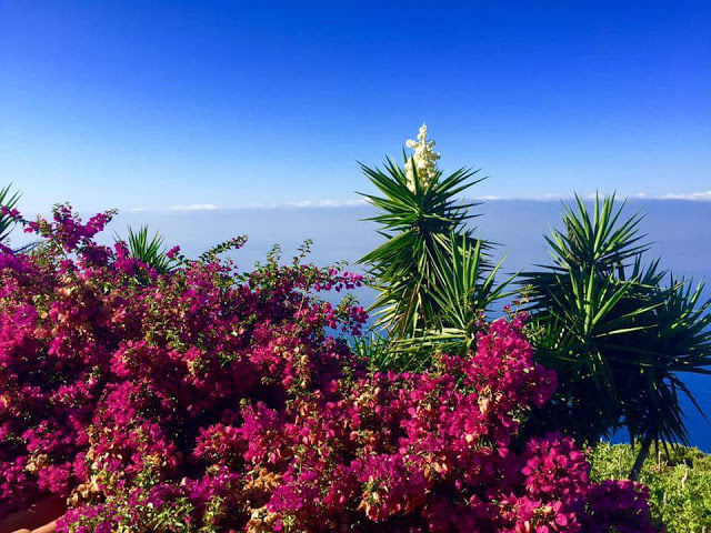 Photo of Don't Just Travel, Live! 8/86 by pallavi.mahajan48