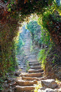 Photo of Don't Just Travel, Live! 13/86 by pallavi.mahajan48