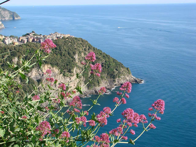 Photo of Don't Just Travel, Live! 15/86 by pallavi.mahajan48