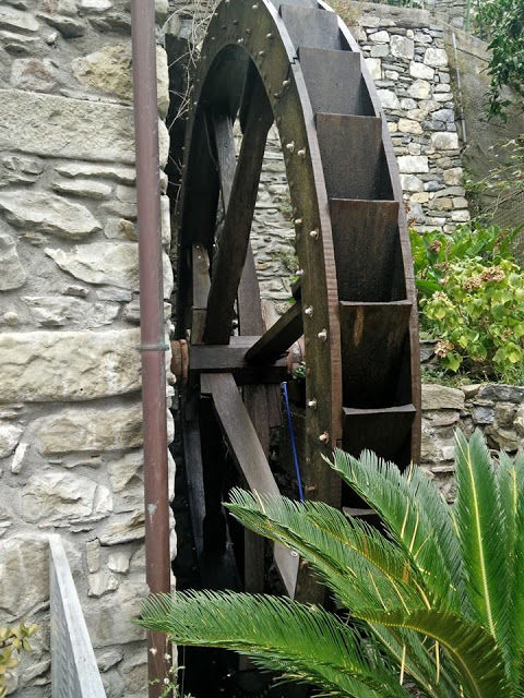 Photo of Don't Just Travel, Live! 23/86 by pallavi.mahajan48