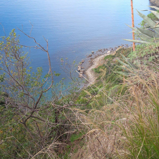 Photo of Don't Just Travel, Live! 32/86 by pallavi.mahajan48