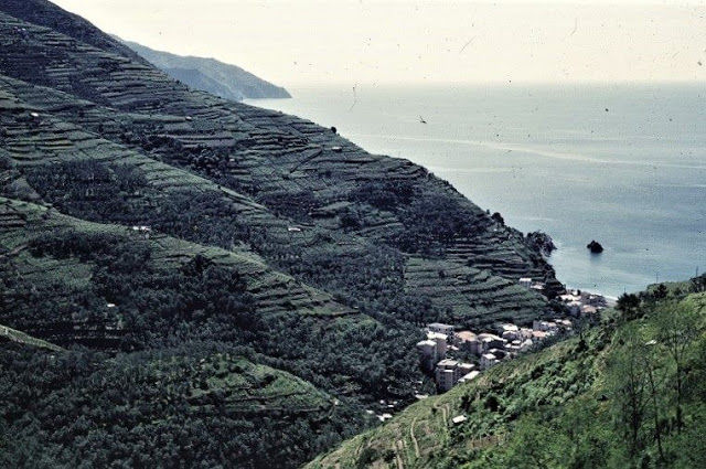 Photo of Don't Just Travel, Live! 66/86 by pallavi.mahajan48