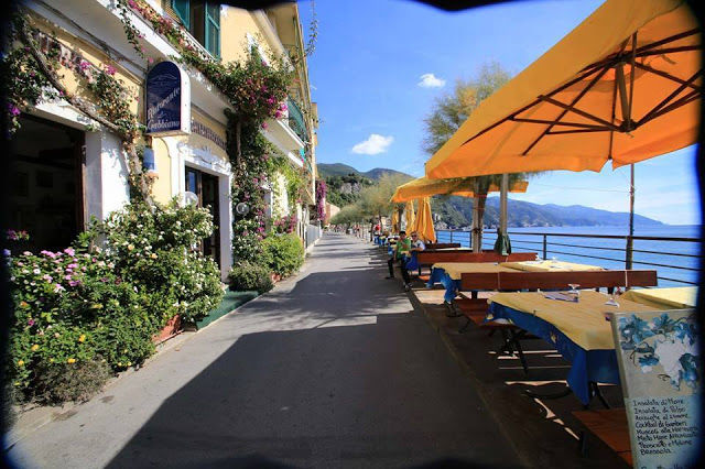 Photo of Don't Just Travel, Live! 79/86 by pallavi.mahajan48