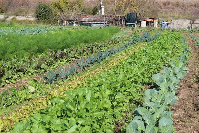 Photo of Don't Just Travel, Live! 86/86 by pallavi.mahajan48