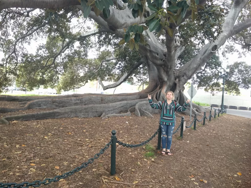 Photo of Santa Barbara County by Angela