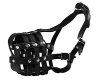 Photo of Muzzle for Dogs 1/1 by Timofey Trofimenkov