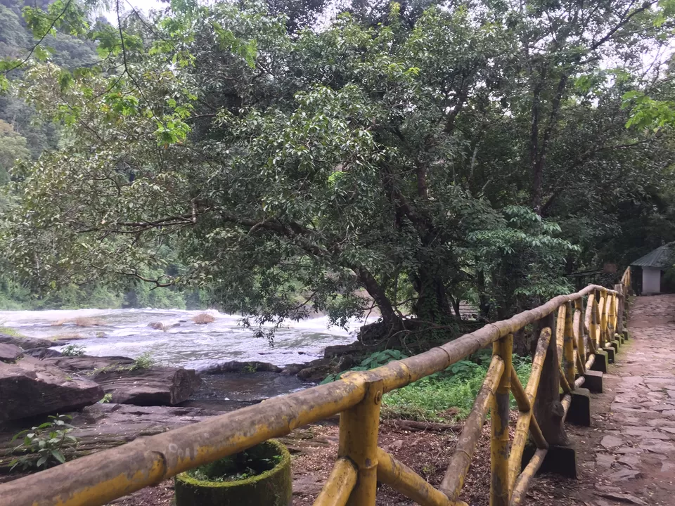 Photo of Vazhachal Waterfalls, Pariyaram, Kerala, India by Prafull