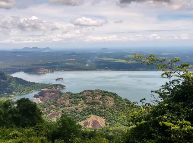 Photo of Valparai Bliss by Prafull