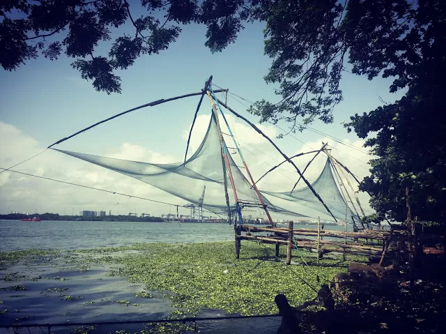Photo of Chinese Fishing Nets, River Road, Fort Kochi, Kochi, Kerala, India by Prafull