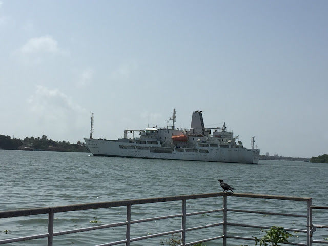 Photo of A Day in Laid-Back Fort Kochi by Prafull