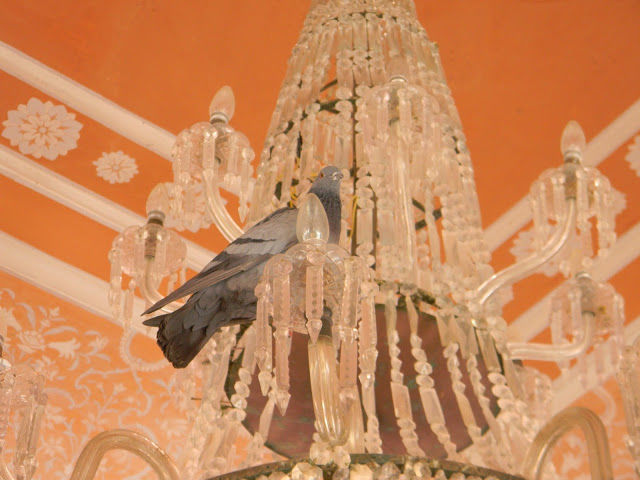 Photo of 3 Days Solo Trip to Jaipur - City of Color and Exuberance by Prafull