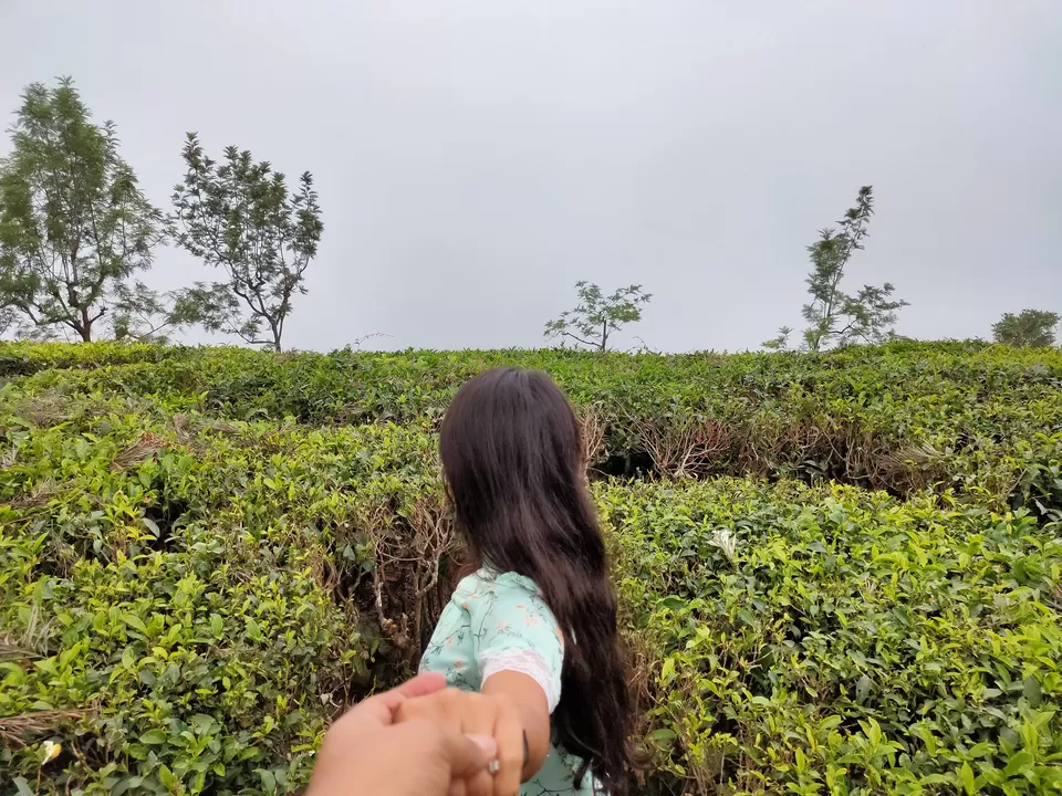 Photo of Bengaluru, Karnataka, India by Gaurav