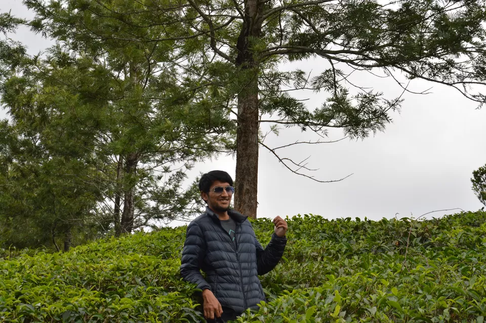Photo of Munnar, Kerala, India by Shashank Shekhar