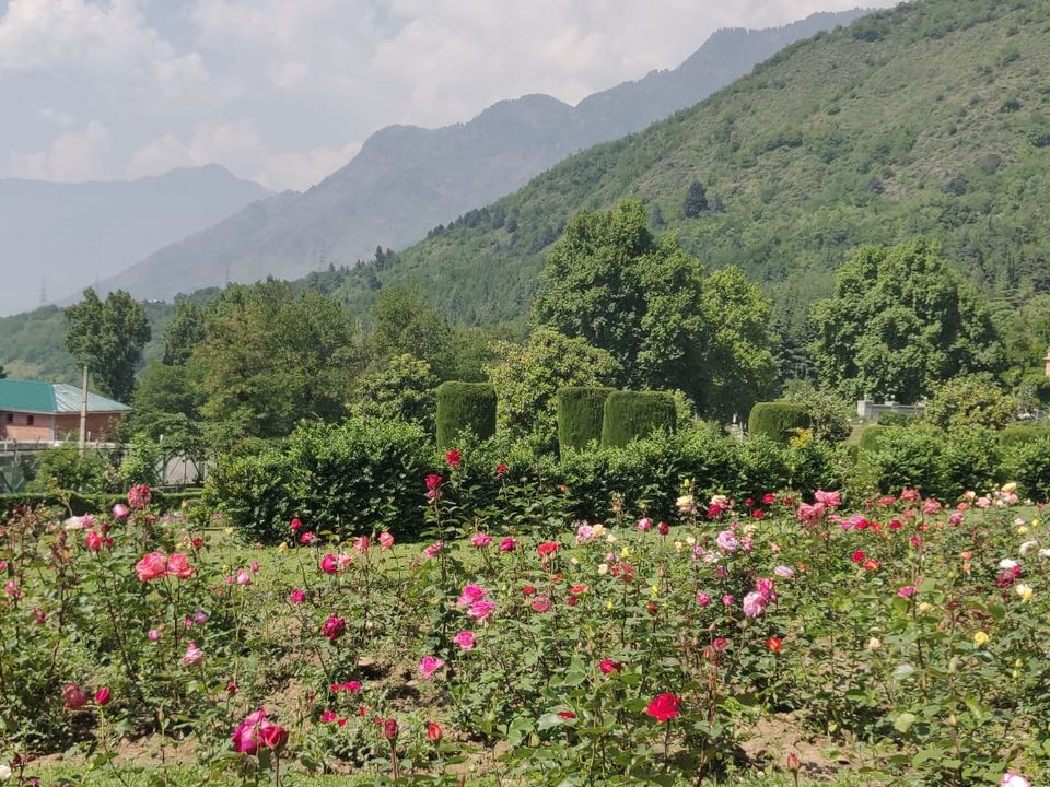 Photo of Shalimar Bagh Mughal Garden, Shalimar, Srinagar by Shashank Shekhar