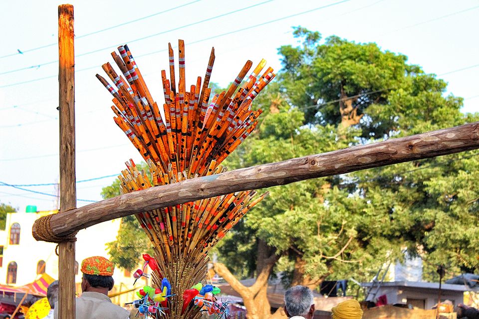 Photo of Pushkar, Rajasthan, India by Touring&tales