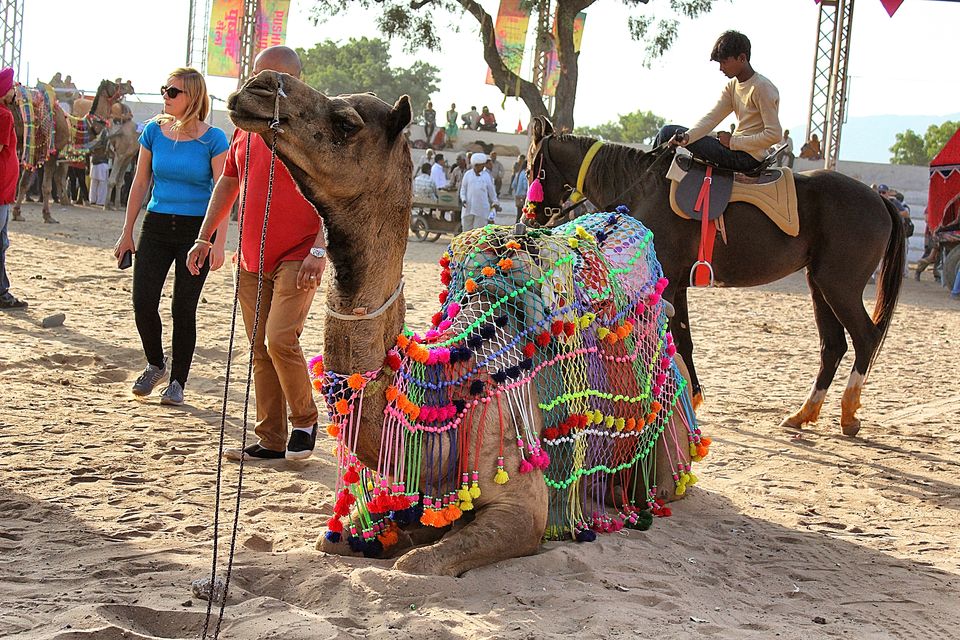 Photo of Pushkar, Rajasthan, India by Touring&tales