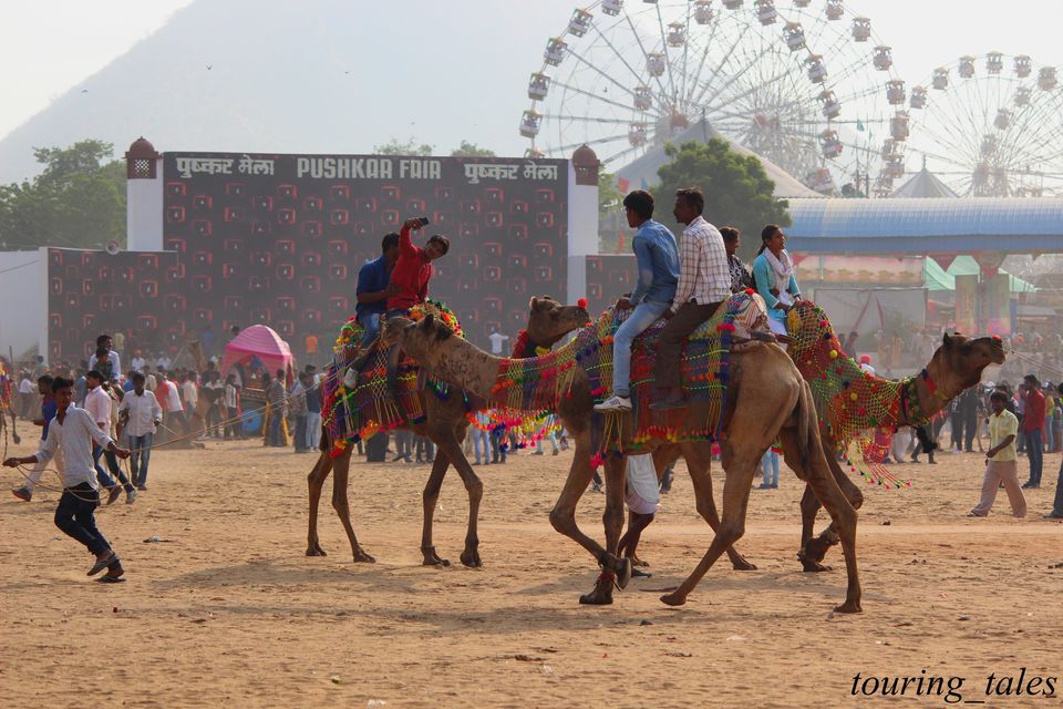 Photo of Pushkar Camel Fair, Brahma Temple Road, Pushkar, Rajasthan, India by Touring&tales