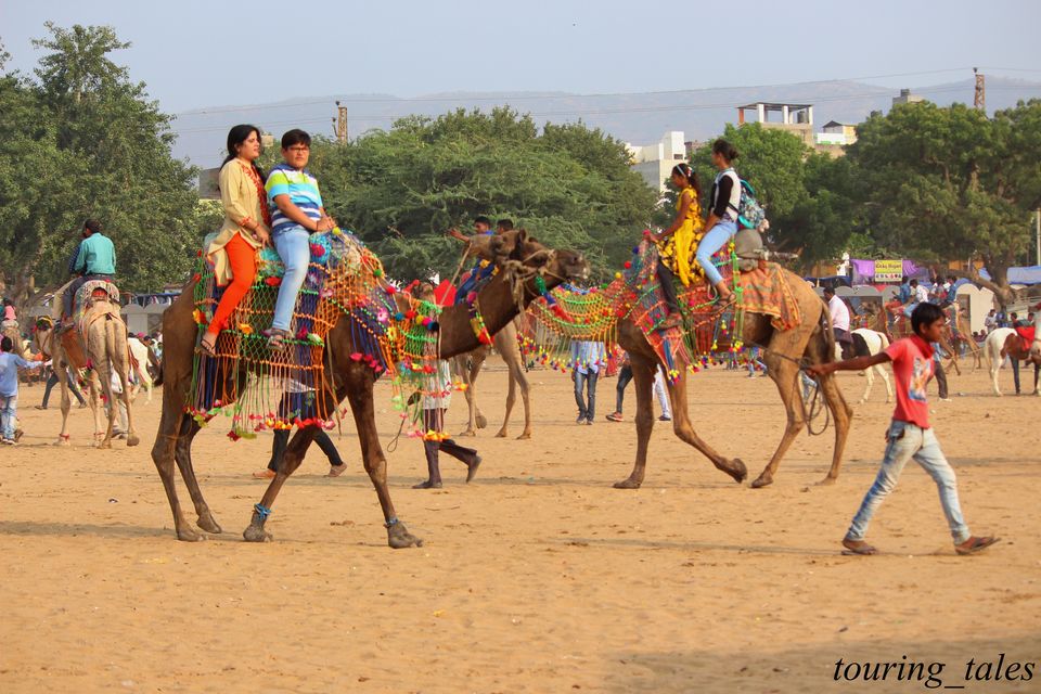 Photo of Pushkar Camel Fair, Brahma Temple Road, Pushkar, Rajasthan, India by Touring&tales