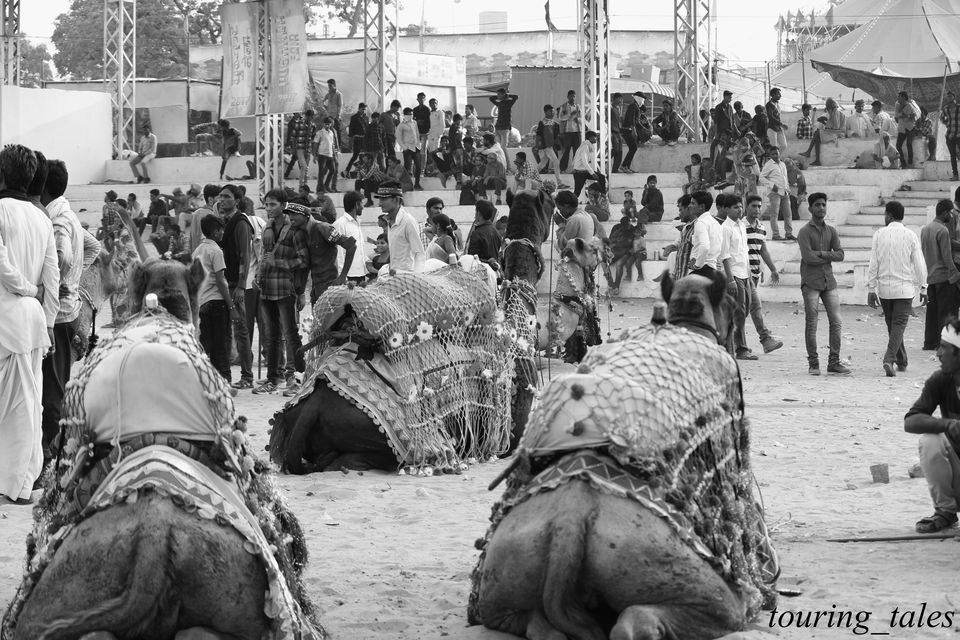 Photo of Pushkar, Rajasthan, India by Touring&tales