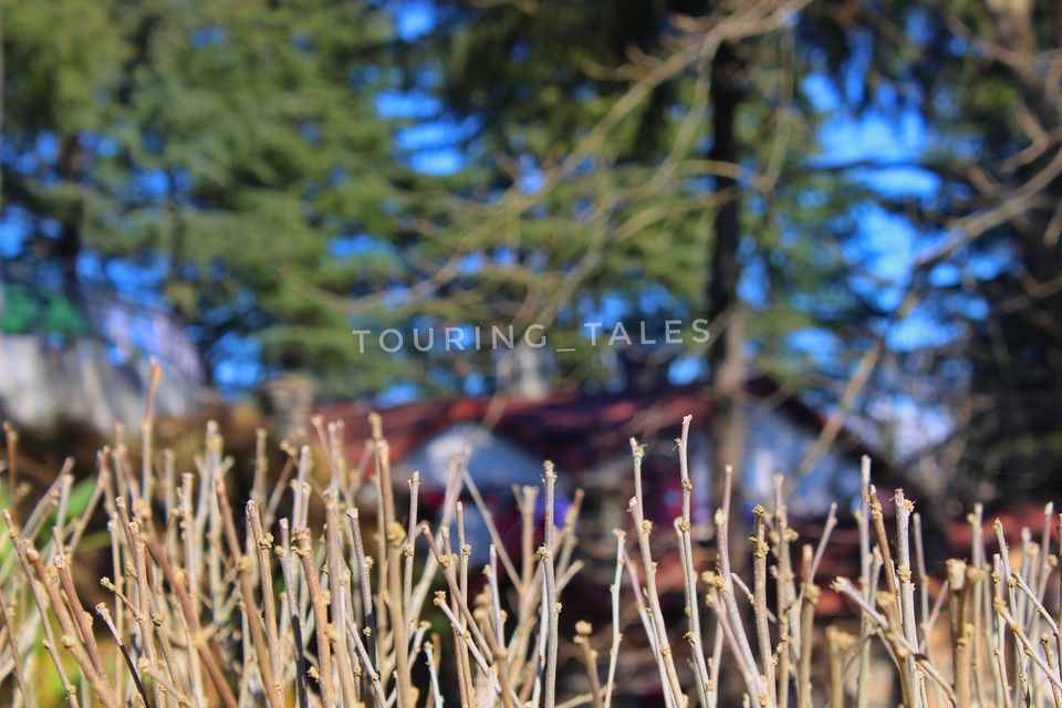 Photo of Mukteshwar, Uttarakhand, India by Touring&tales