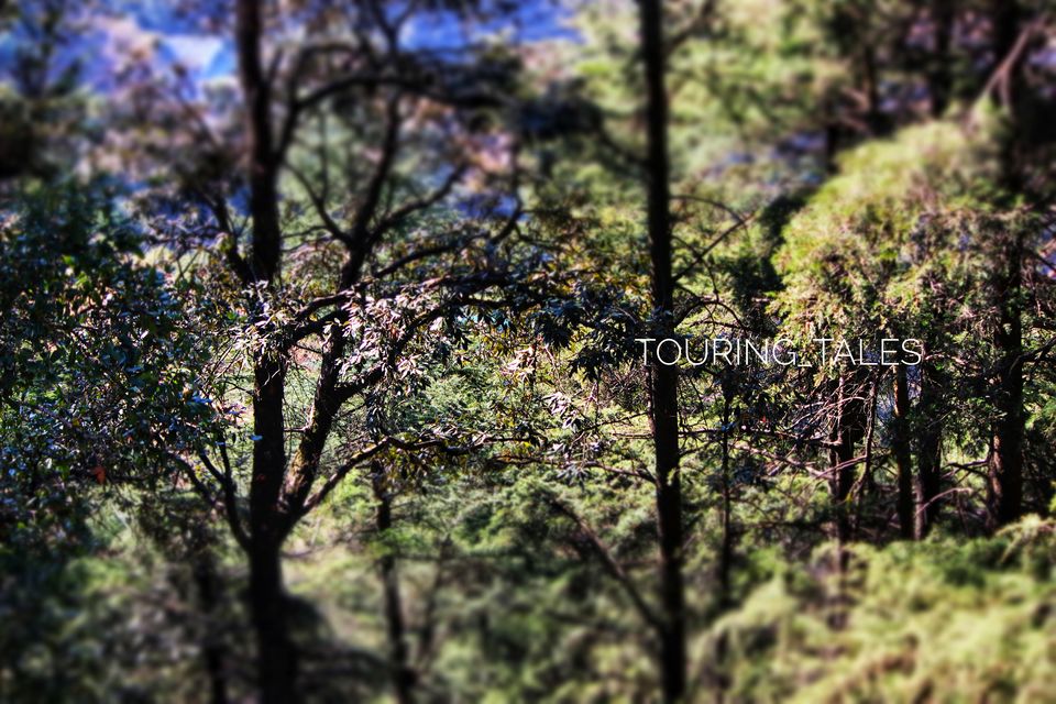 Photo of Mukteshwar, Uttarakhand, India by Touring&tales