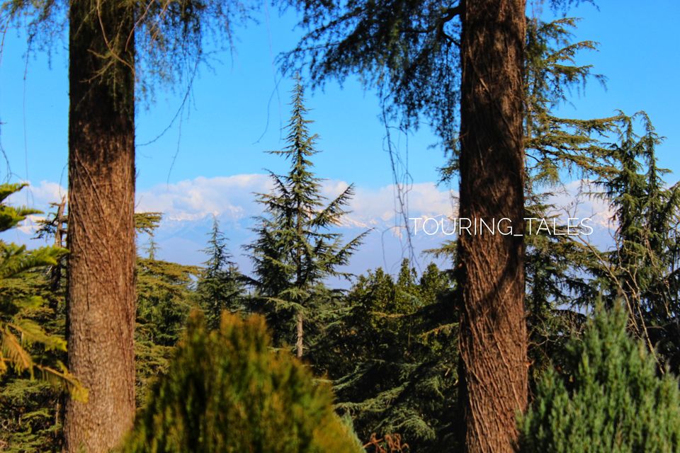 Photo of Mukteshwar, Uttarakhand, India by Touring&tales