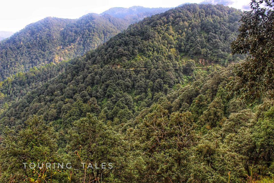 Photo of Pangot, Uttarakhand, India by Touring&tales