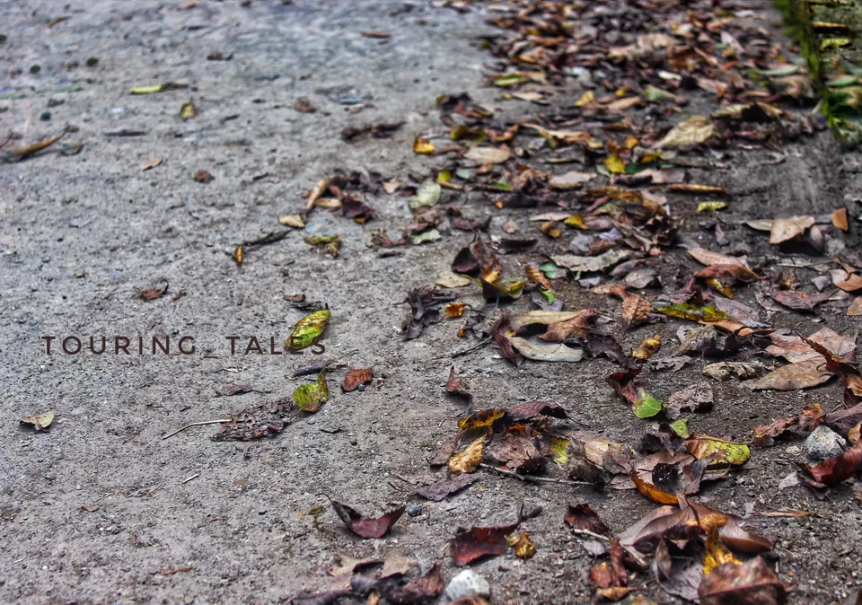 Photo of Pangoot, Uttarakhand, India by Touring&tales