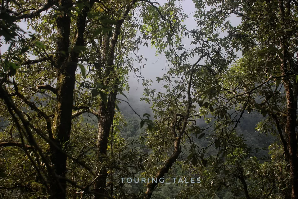 Photo of Pangoot, Uttarakhand, India by Touring&tales