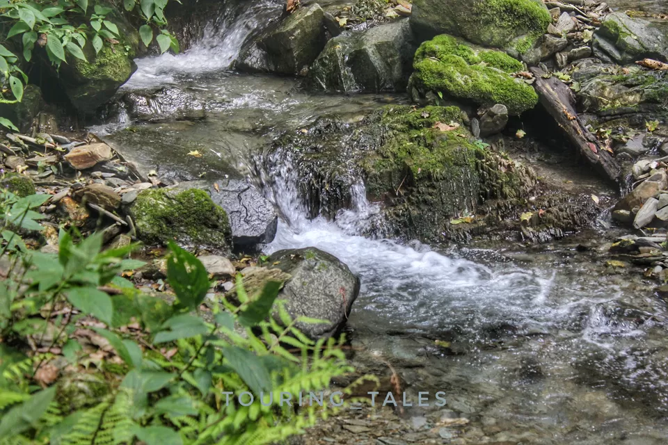 Photo of Pangoot, Uttarakhand, India by Touring&tales