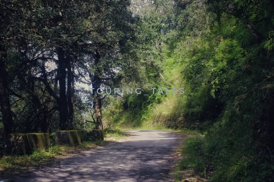 Photo of Pangoot, Uttarakhand, India by Touring&tales