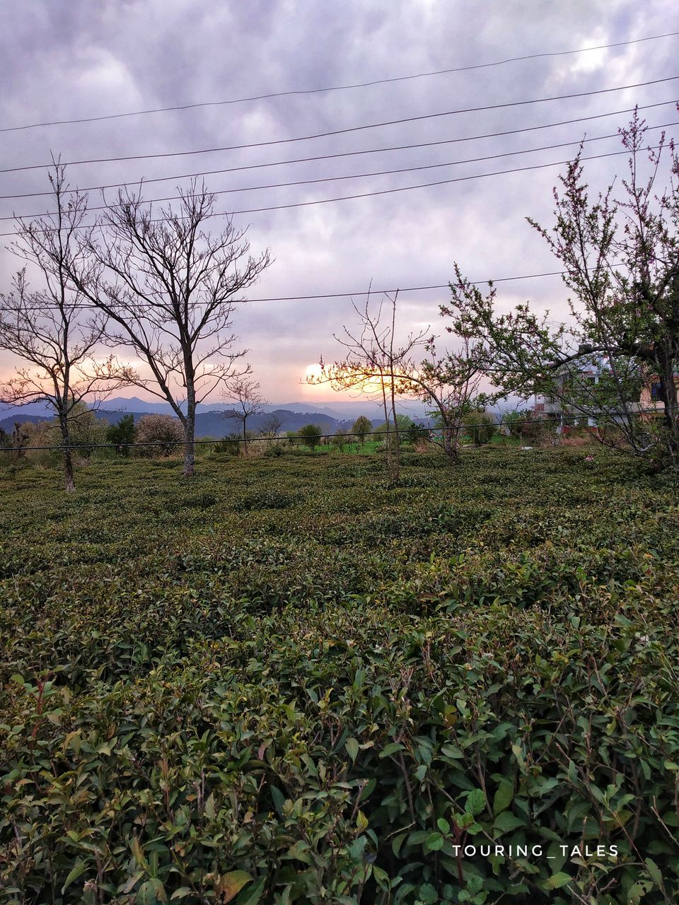 Photo of Bir Billing Himachal Pradesh, Bir Colony Road, Bir Colony, Bir, Himachal Pradesh, India by Touring&tales