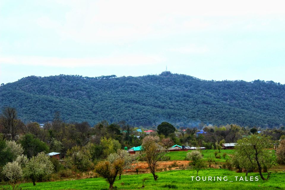 Photo of Flying high at Bir #TravelAdventure2019 by Touring&tales