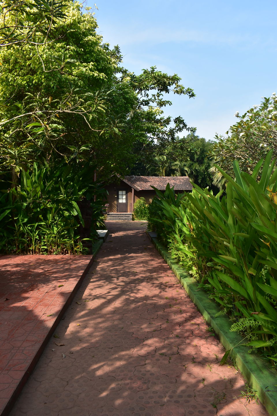 Photo of Last-minute Christmas vacation in South Goa by Chandrima Paul