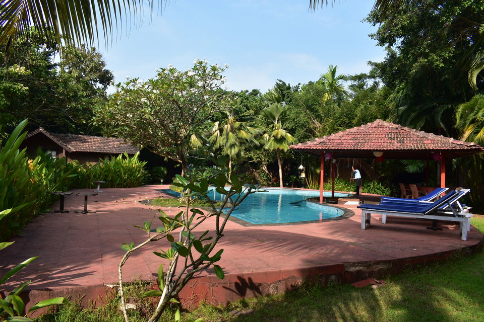 Photo of Palolem, Canacona, Goa, India by Chandrima Paul
