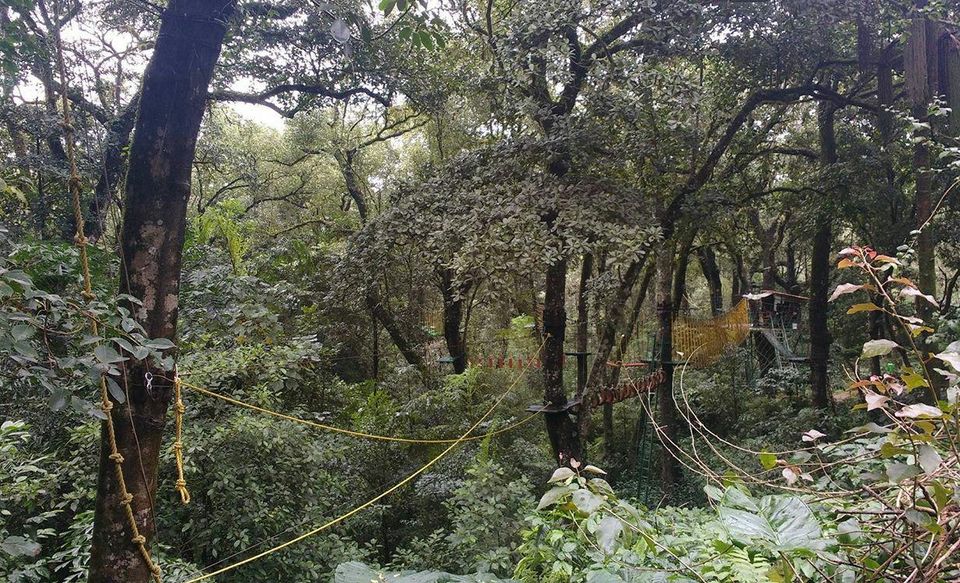 Photo of A smaller scotland and the epitome of glorious charm: Coorg! by Anindita Nayak