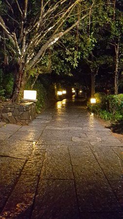 Photo of A smaller scotland and the epitome of glorious charm: Coorg! by Anindita Nayak