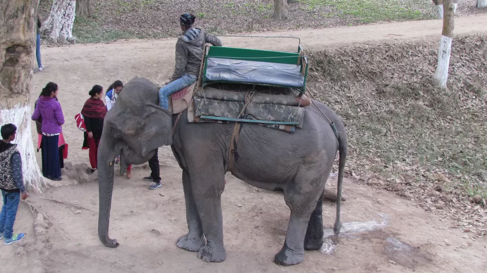 Photo of Kaziranga National Park, Assam, India by Sunny Sehgal