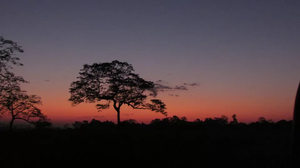 Photo of Wildlife Calling - Visit to Guwahati & Kaziranga National Park by Sunny Sehgal
