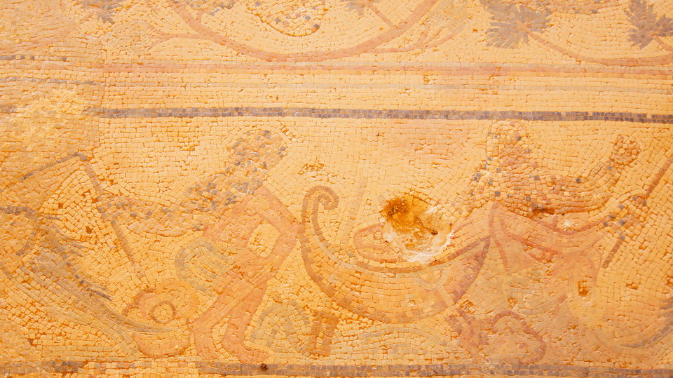 Photo of The Ancient World of Madaba by Maithili Madhusudanan