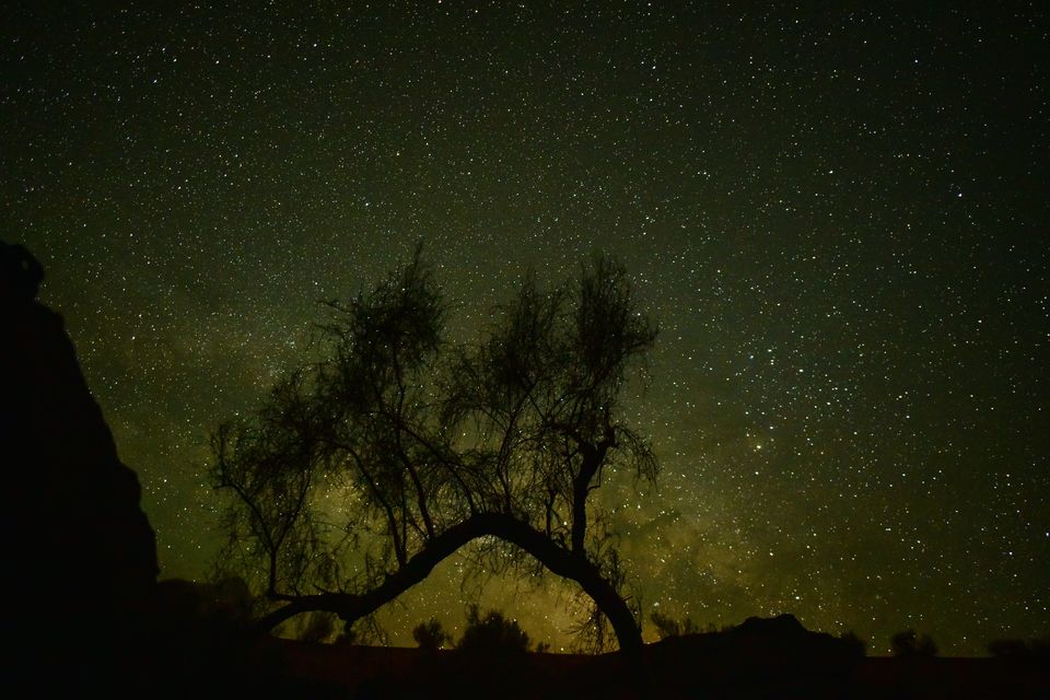 Photo of The Ancient World of Madaba by Maithili Madhusudanan