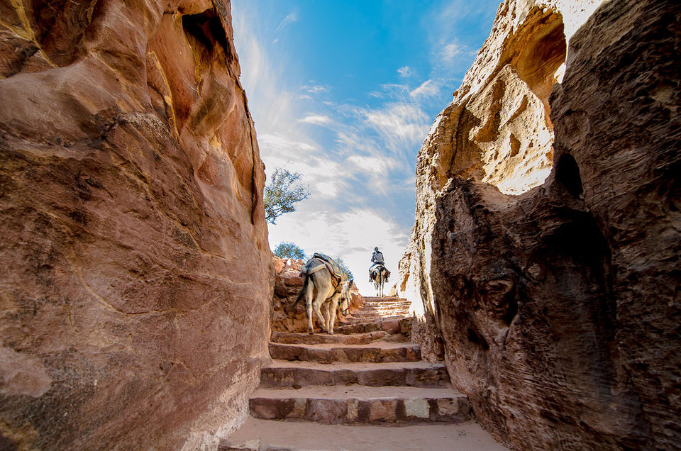 Photo of The Nabataean city of Petra 2/20 by Maithili Madhusudanan
