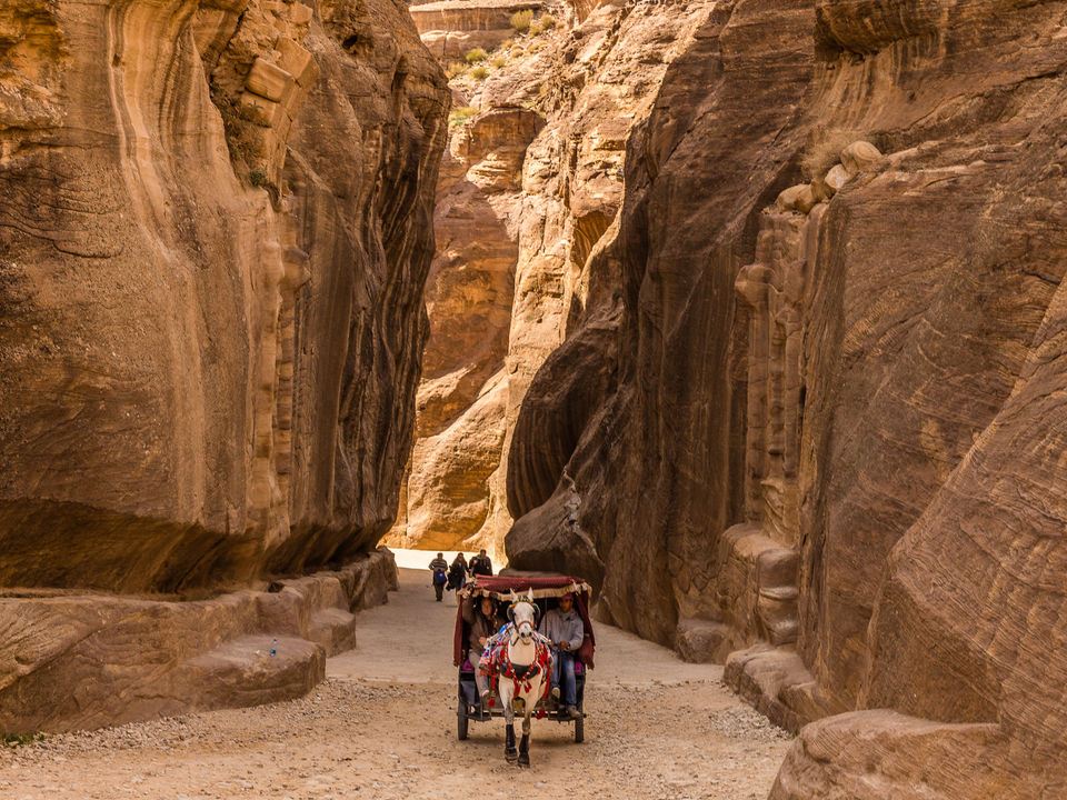 Photo of The Nabataean city of Petra 6/20 by Maithili Madhusudanan